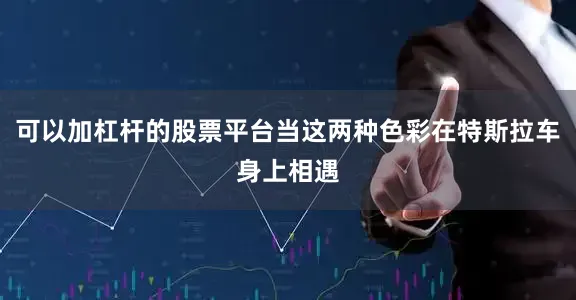 可以加杠杆的股票平台当这两种色彩在特斯拉车身上相遇